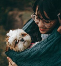 A Pet Owner’s Veterinary Referral Hospital Guide