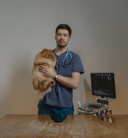 Modern and Alternative Veterinary Care: The Key to a Healthy Pet